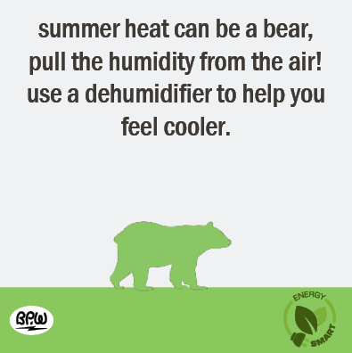 10 bear 2020 Efficiency Tips
