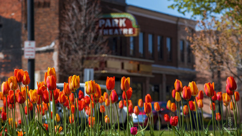 Vibrant orange, yellow and red tulips bloom in front of a brick Park Theatre building in downtown Holland.