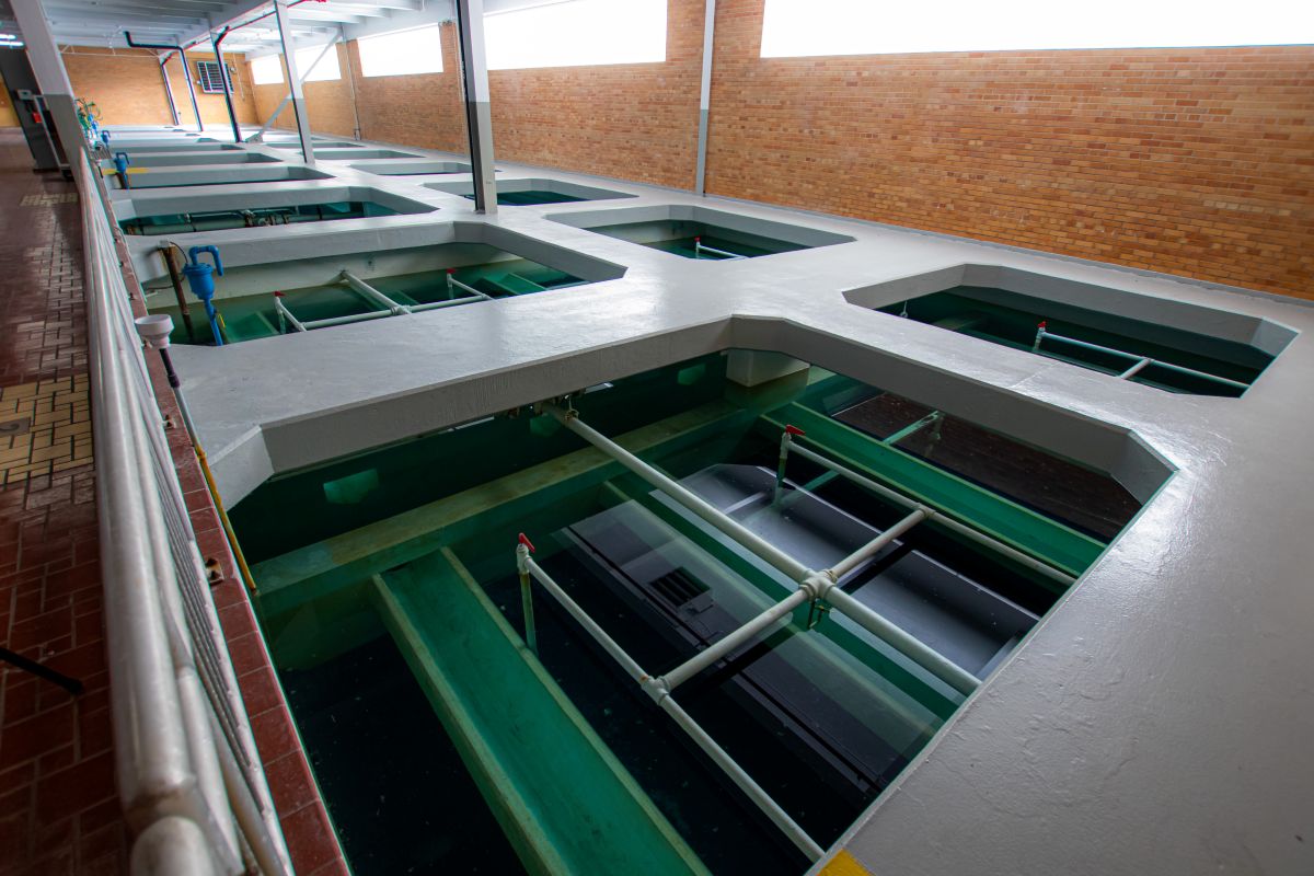 Large metal power plant stacks with yellow railings.