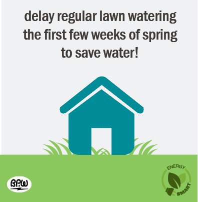 7 delay watering 2020 Efficiency Tips