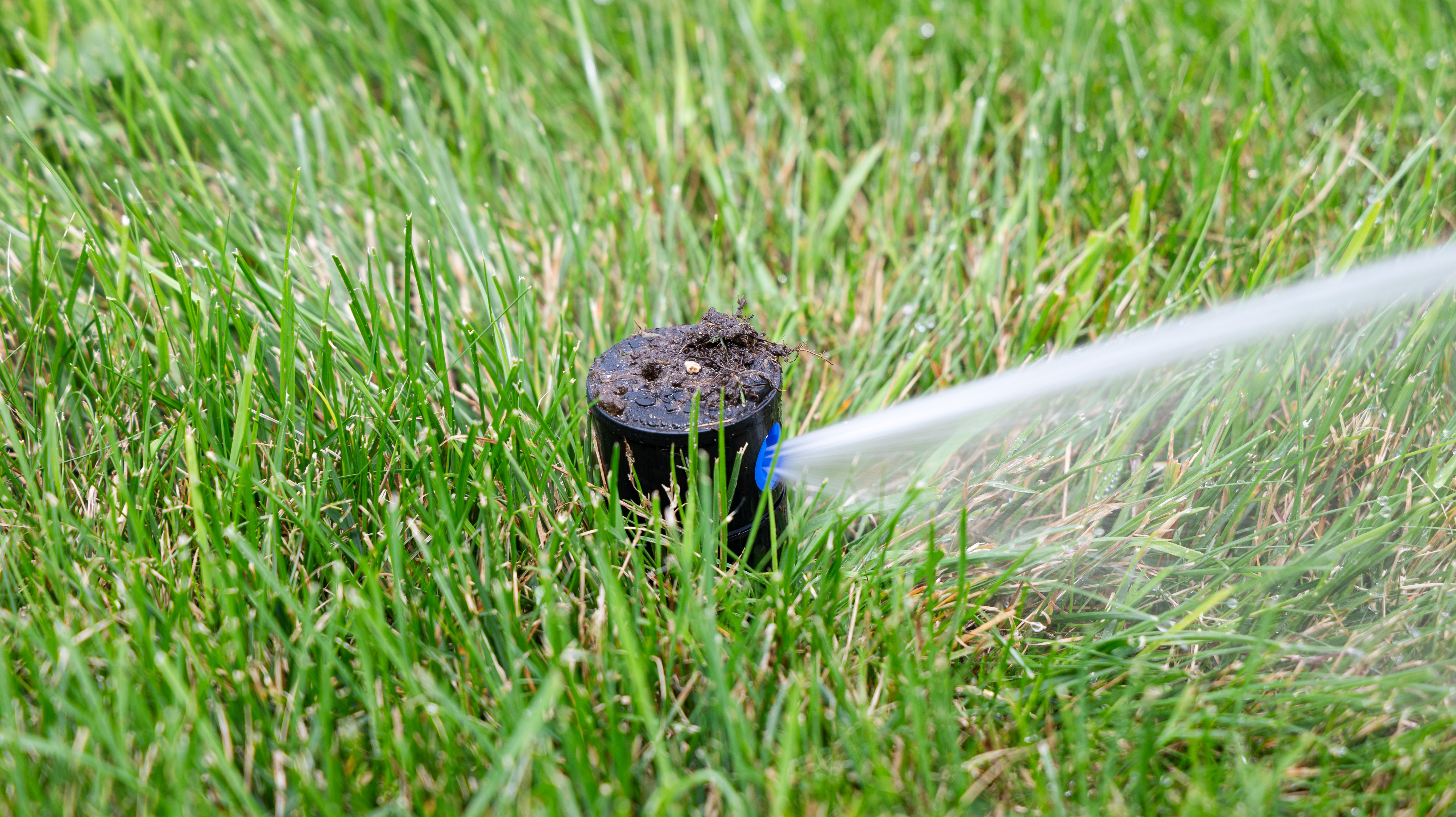Home Irrigation Tips