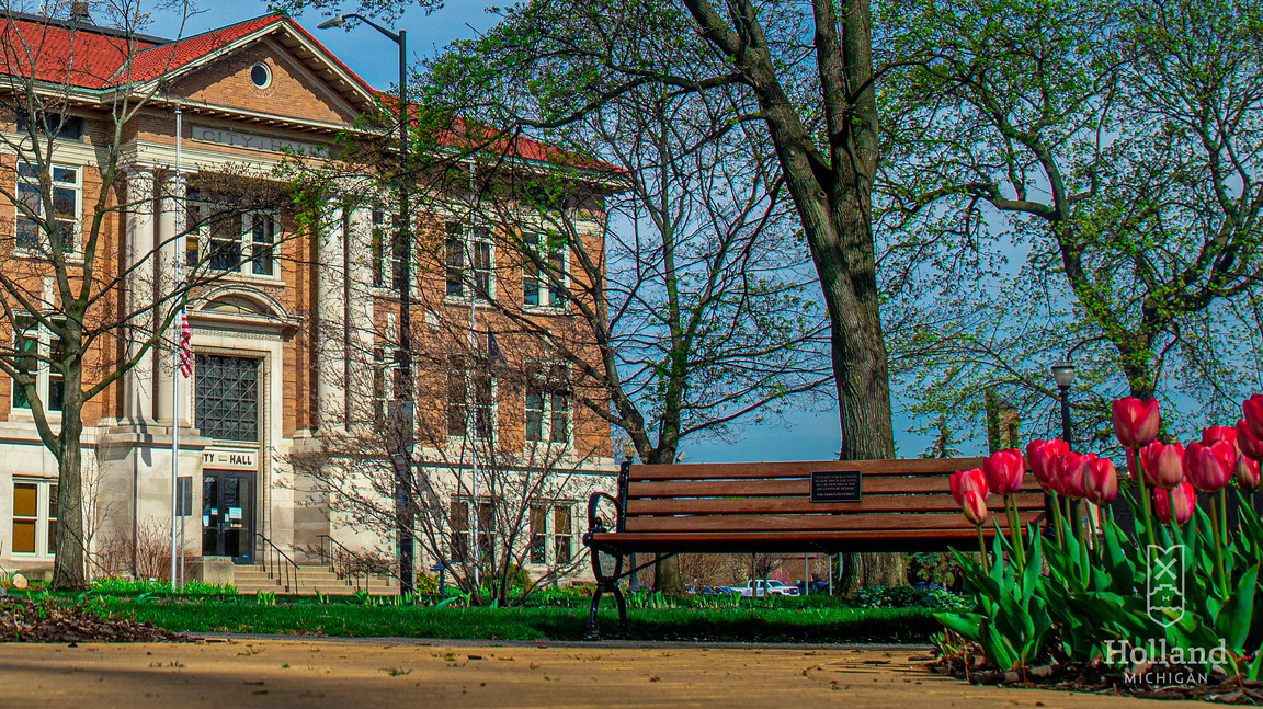 City Hall, a brick building with concrete pillars faces a park bench, tree and red tulips.