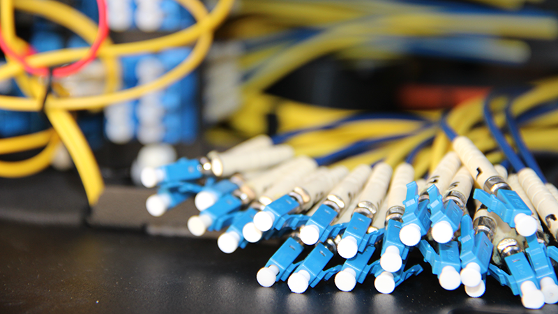 Bundled blue and white fiber optic cables with yellow cables behind.