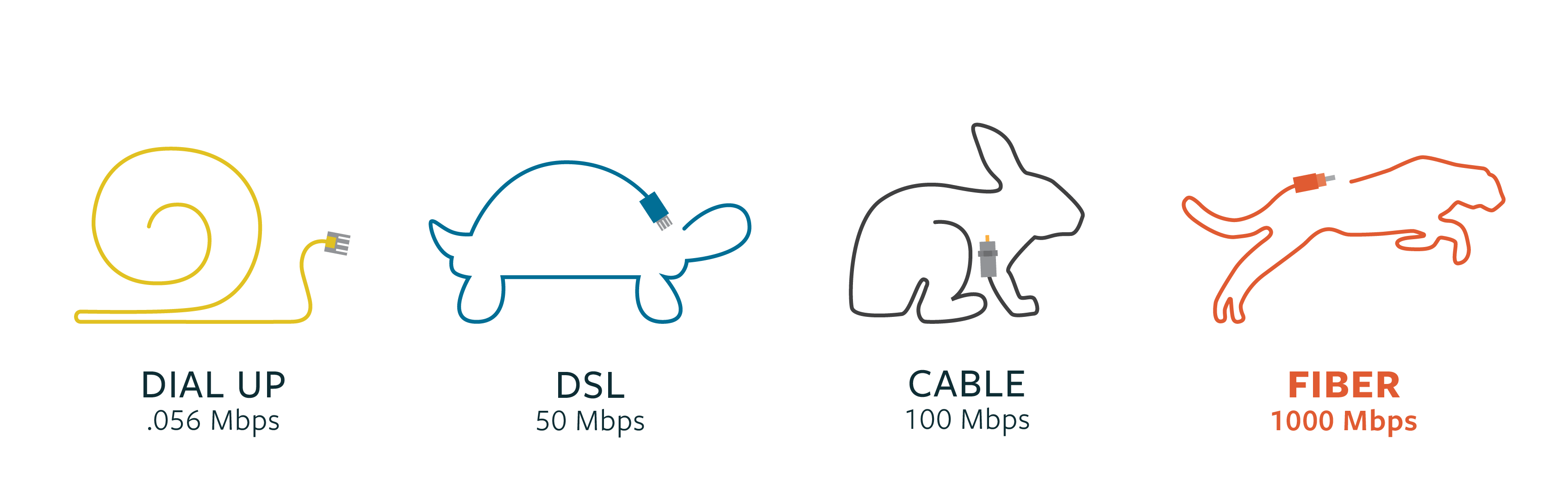 stylized images depicting a snail as dial up, a turtle as dsl, a rabbit as cable, and a cheetah as fiber